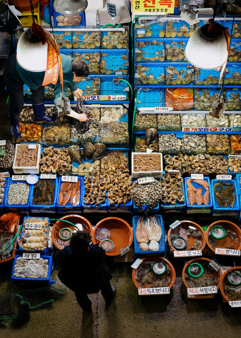 Fish market in Seoul